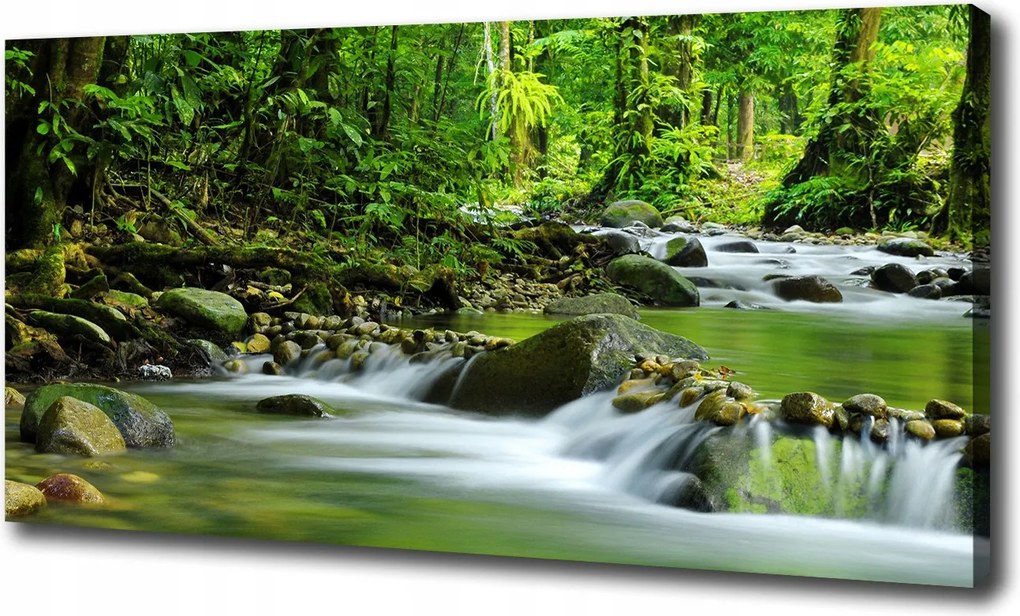 Nagyméretű vászonkép Hegyi patak 100x70 cm