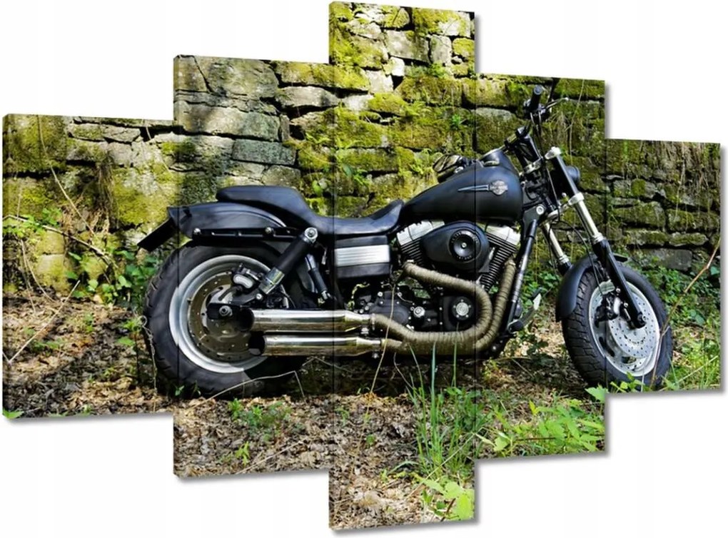 Festmények 150x105 Harley-val a kiránduláshoz