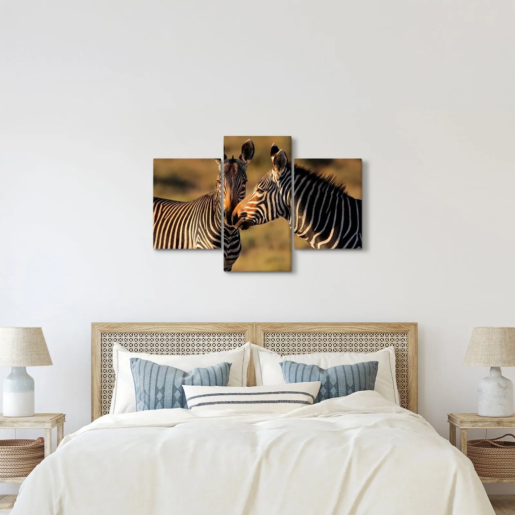 Kép - Két zebra (90x60 cm)