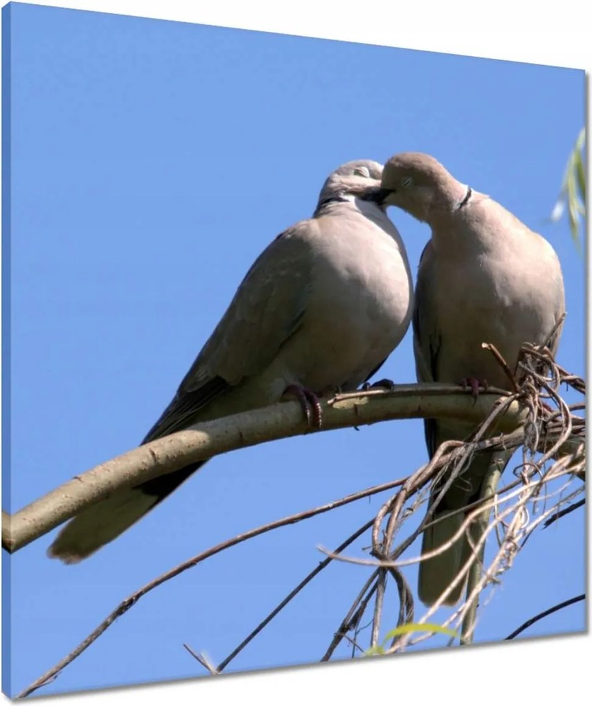 Vászonkép 60x60 Szerelem Érzés Párkapcsolat