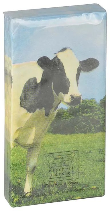 Állatmintás zsebkendő, bocis