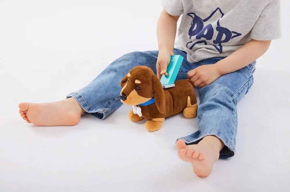 Hape Állatorvos készlet - kiskutyák gondozása