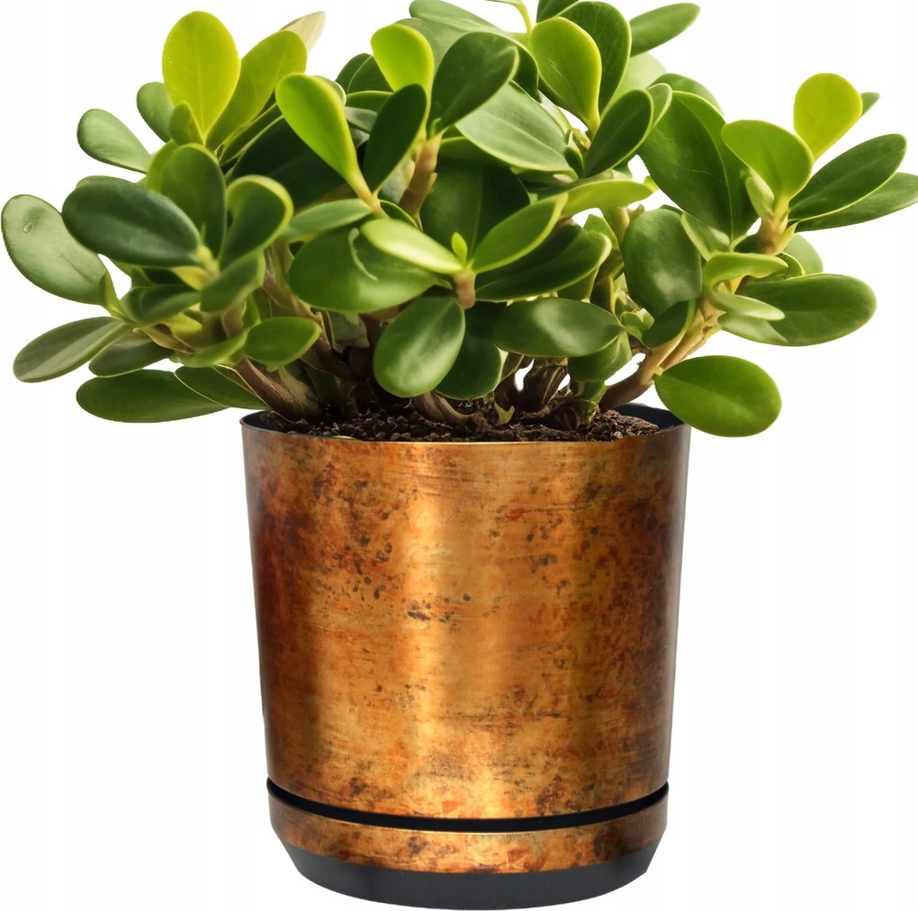 16 Virágcserép rozsdaálló talppal, fém öregítő hatású rusztikus loft