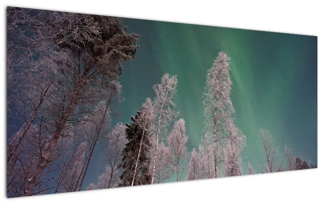 Az aurora borealis képe fagyos fák felett (120x50 cm)