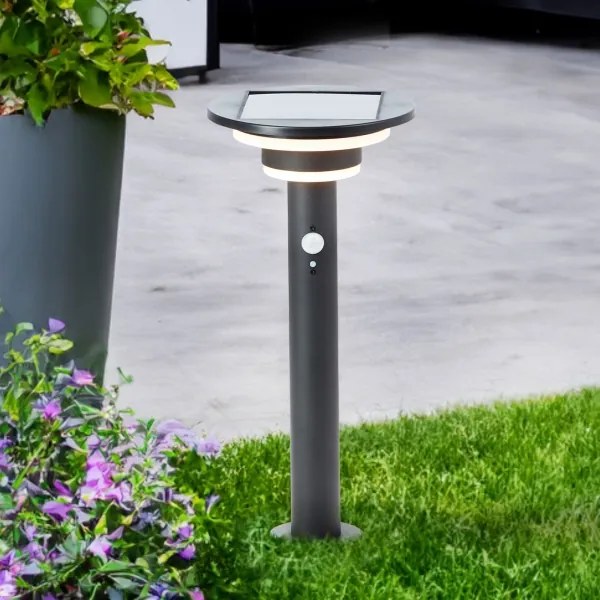 Brilliant - LED Napelemes lámpa érzékelővel GARVINA LED/3W/3,7V 45 cm IP44 fekete