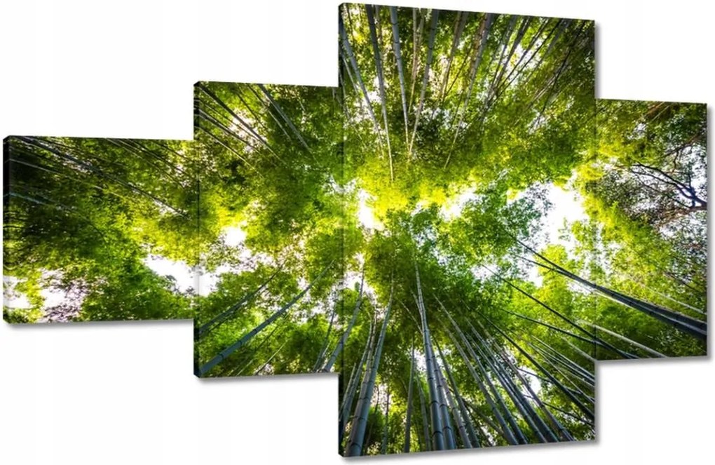 Vászonkép 130x80 Bambusz trópusi erdő