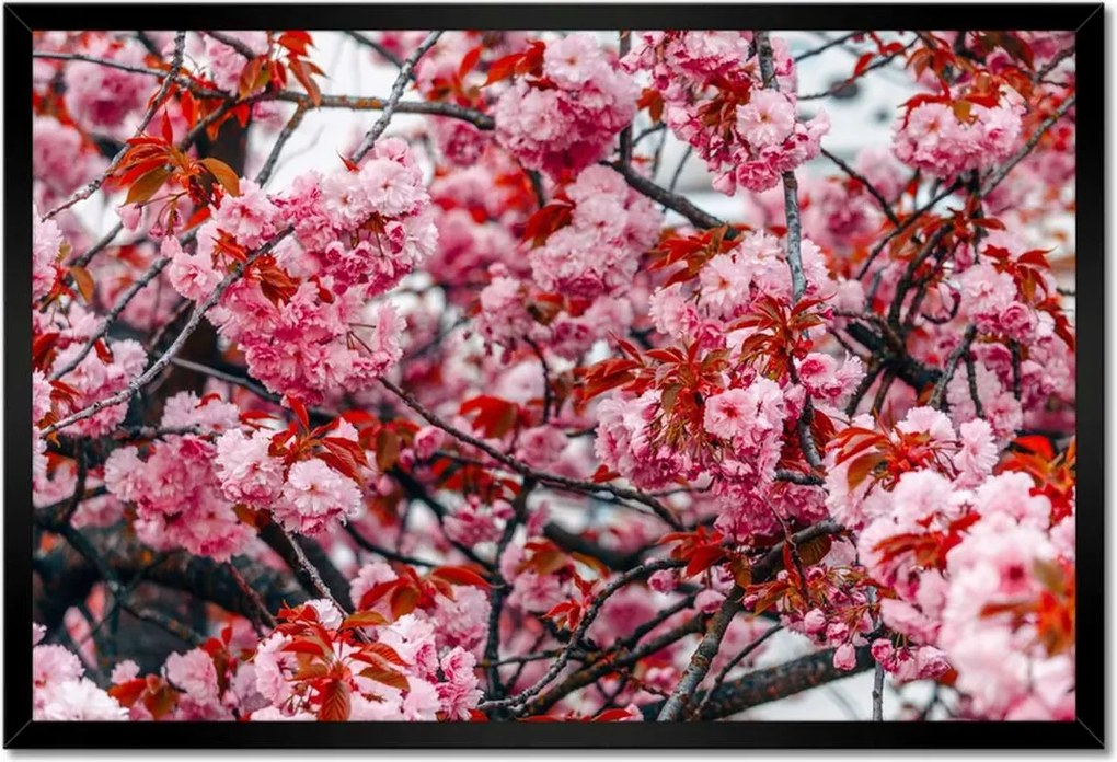 Poszterek keretben 60x40 Finom virágok Virágok