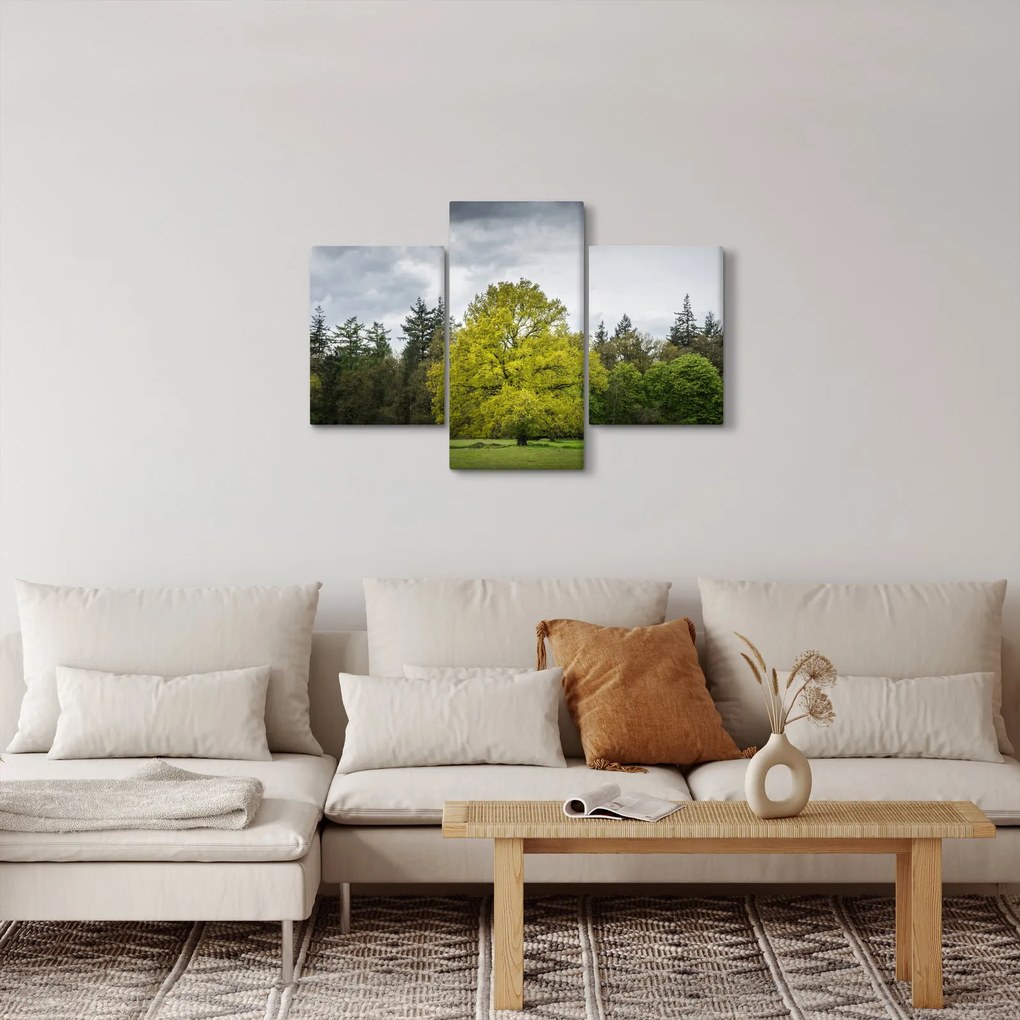 Egy zöld fa képe a mező közepén (90x60 cm)