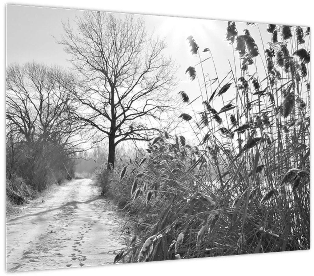 Kép - Mezők télen (70x50 cm)