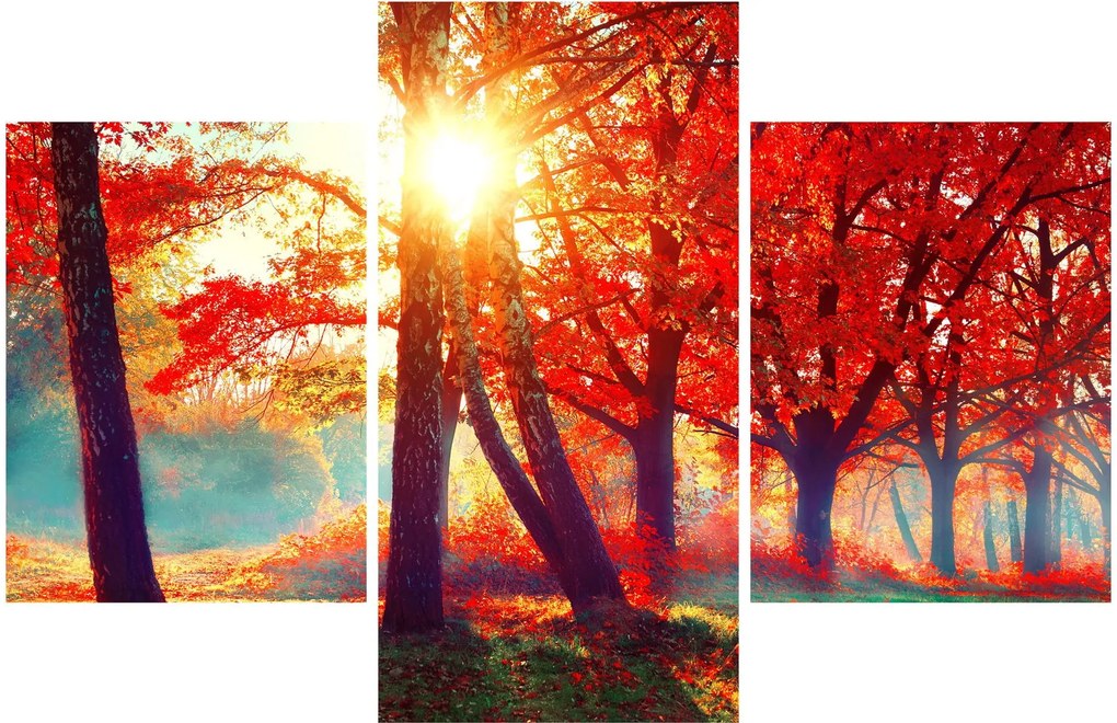 Kép - Őszi táj (90x60 cm)