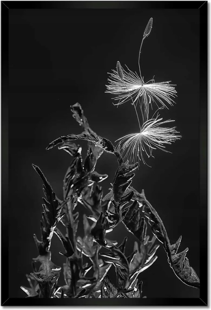 Poszterek keretben 40x60 Pitypang ág