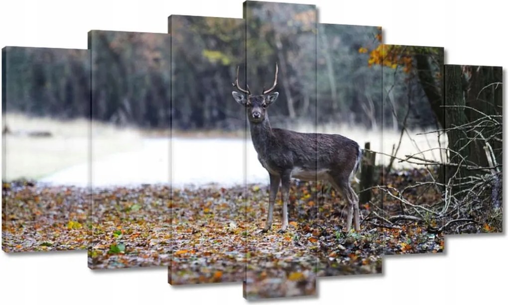 Vászonkép 140x80 Szarvas az erdőben Erdő