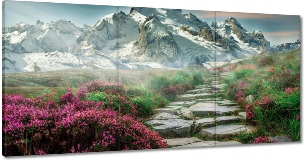 Festmények 120x60 Hegyi kilátás