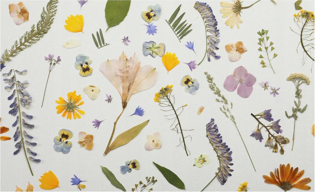 Fotótapéta Flizelin Dekoratív Hálószoba Tavaszi virágok 416x254 Ragasztó