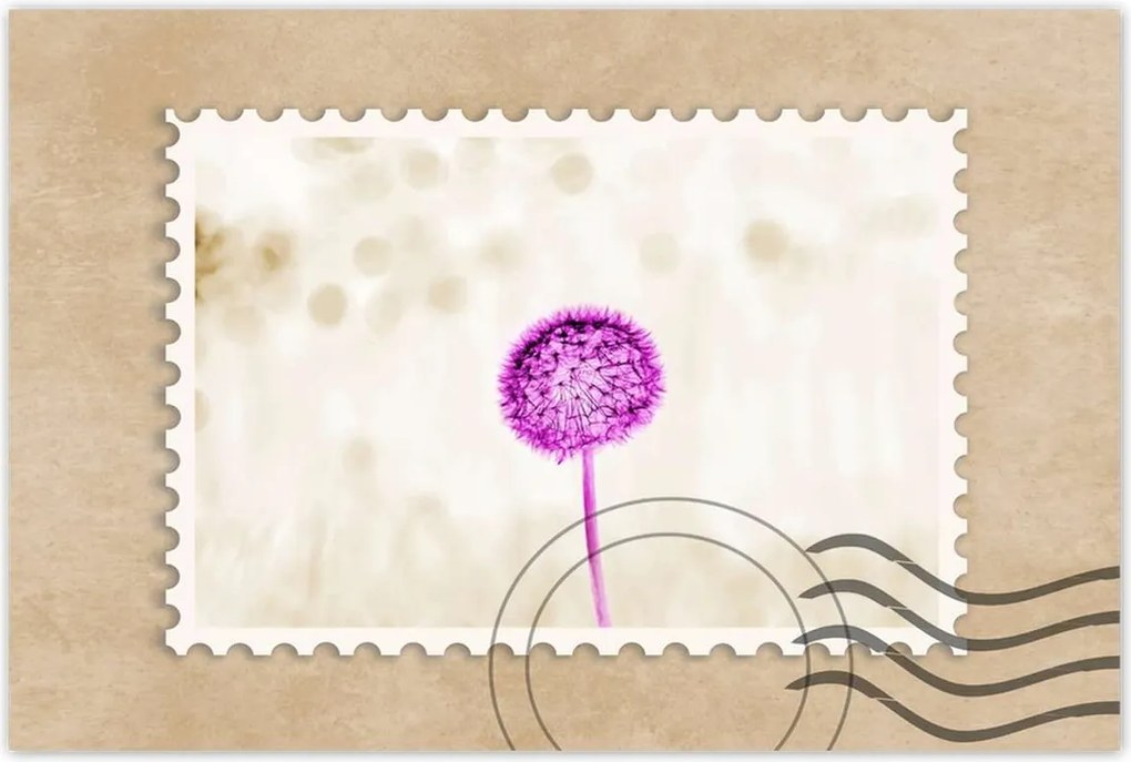 Poszterek 90x60 Lila pitypang