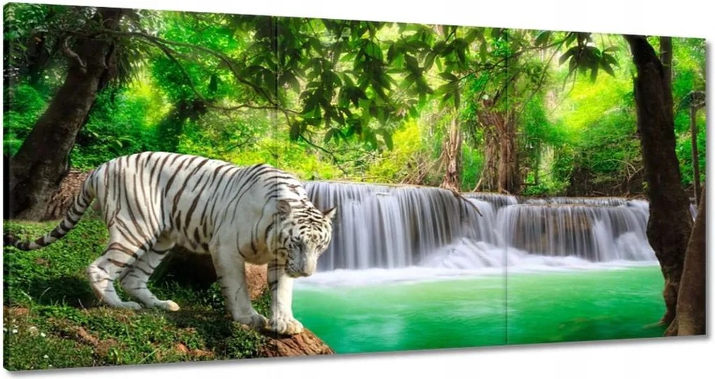 Vászonkép 60x30 Tigris a vízesésnél