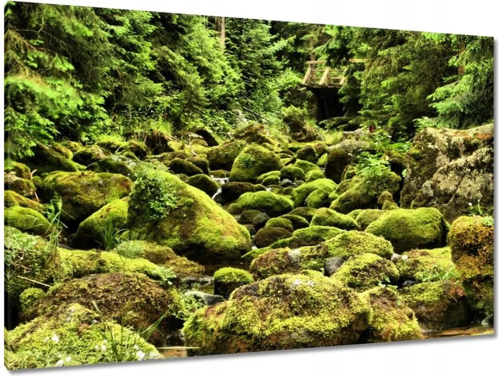 Képek 120x80 Tátra Lengyel hegyek Kilátás