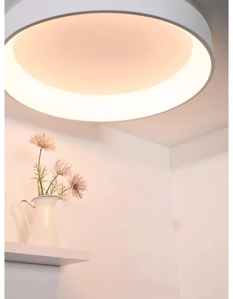 Lucide 46100/80/31 - TALOWE LED 80W/230V állítható mennyezeti lámpa, 80 cm