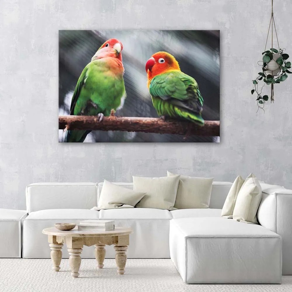 Gario Vászonkép Színes papagájok Méret: 100 x 70 cm