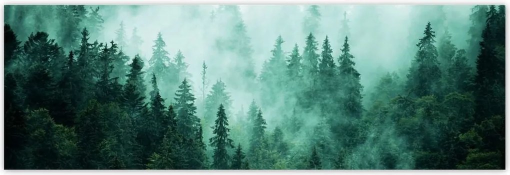 Poszterek 200x66 Erdő Köd Tájkép Utazás