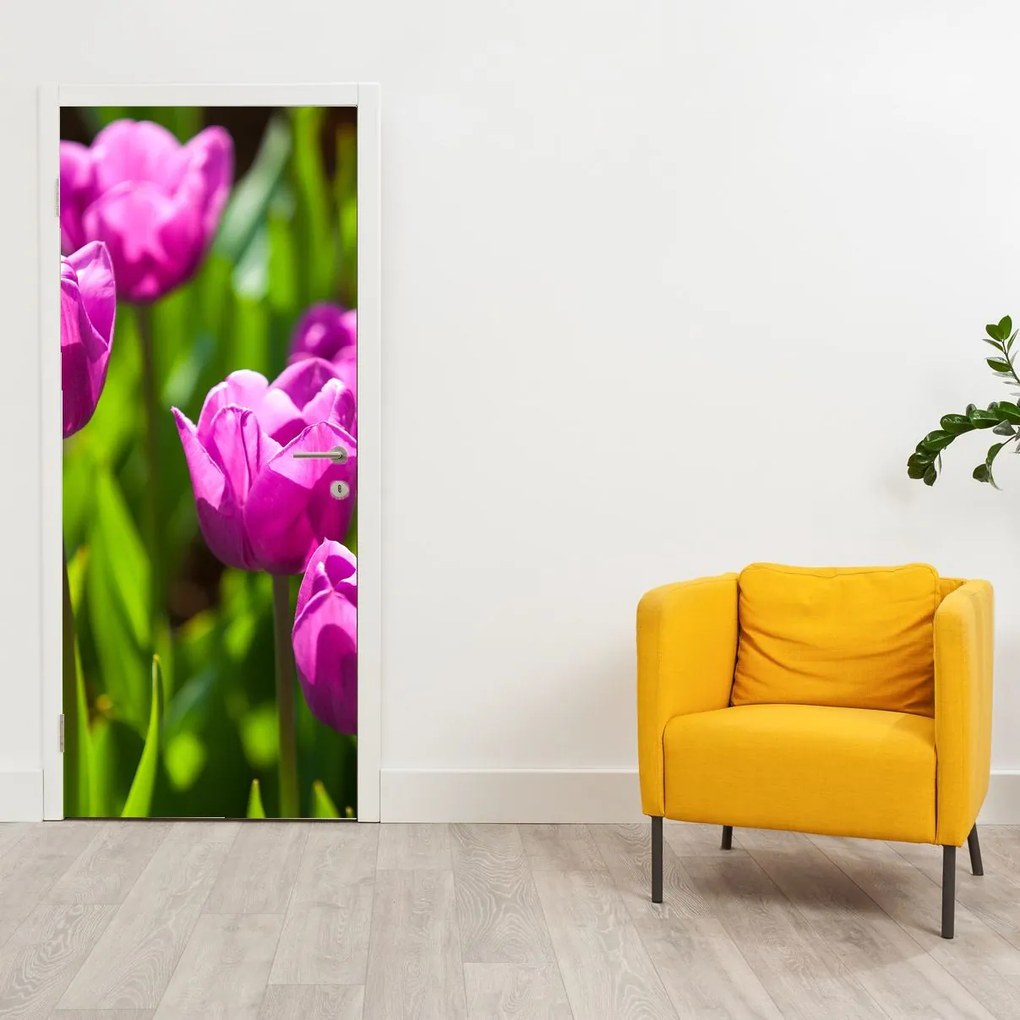 Fotótapéta ajtóra - Tulipánok a réten (95x205cm)