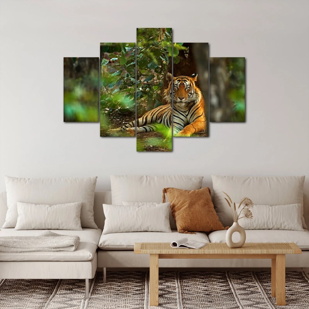 Pihenő tigris képe (150x105 cm)