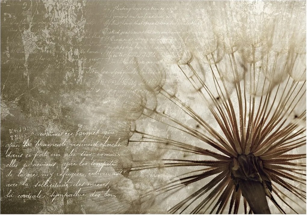 Fotótapéta pitypang virágok 254 x 184