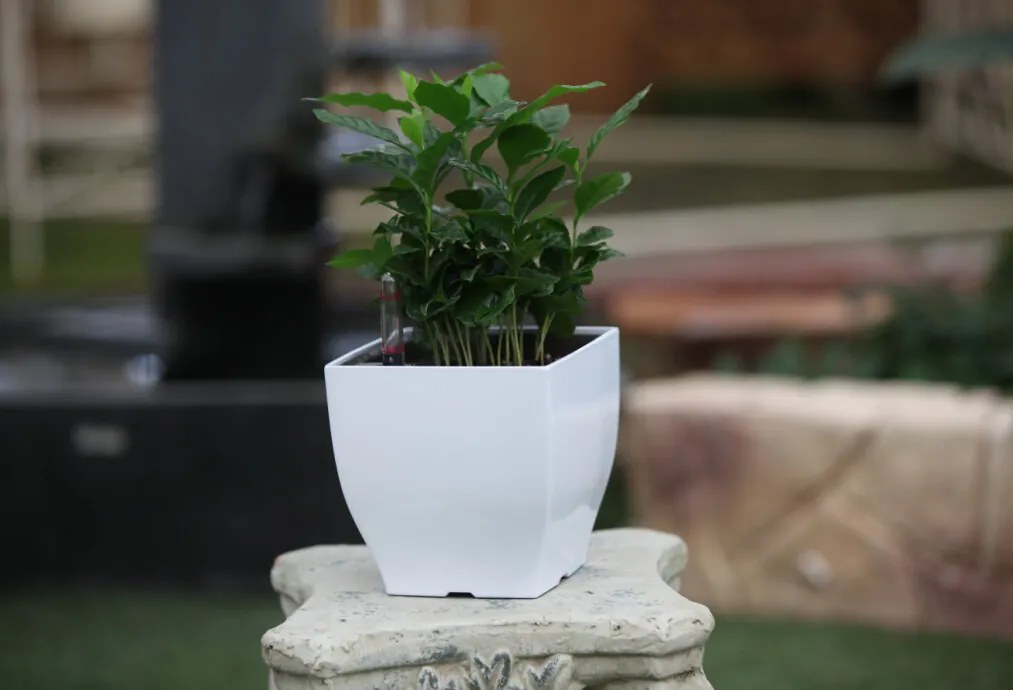 G21 Cube mini virágcserép zöld, 13 cm &quot;külső burkolat