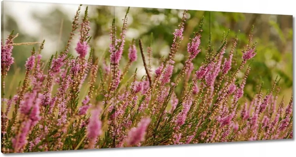 Vászonkép 180x90 Hanga Virágok lila