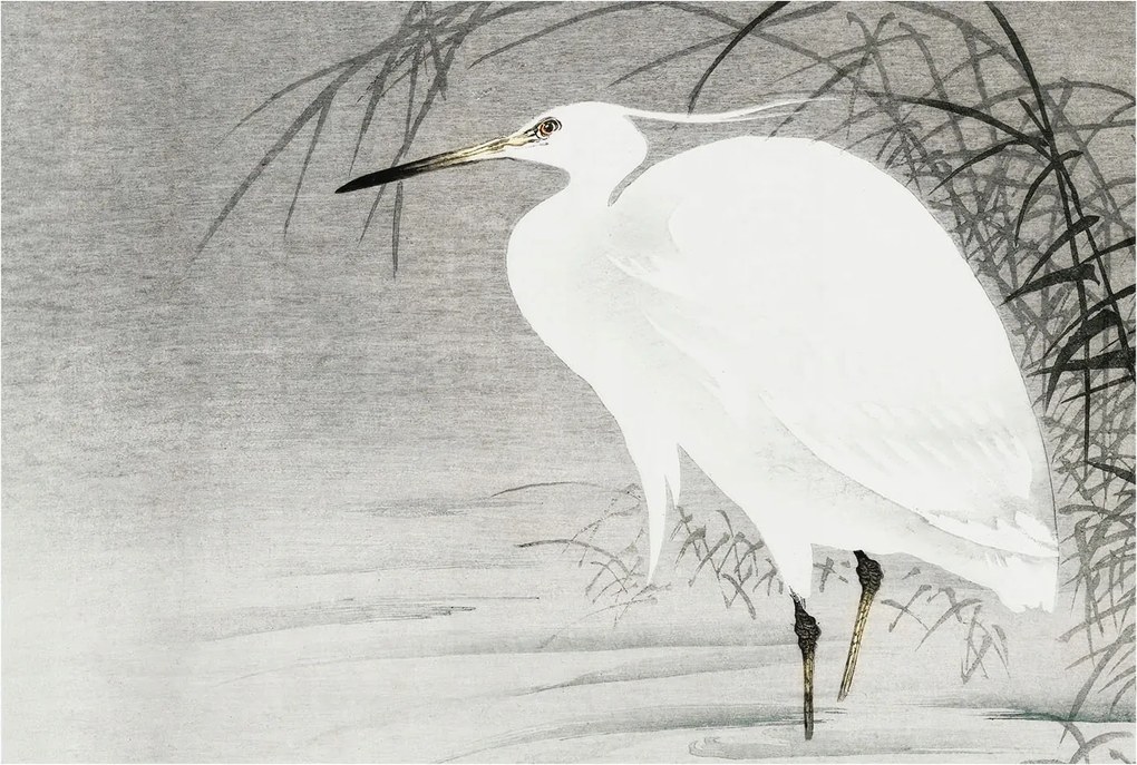 Flizelin tapéta Divatos ragasztóval Fali 3D Vízi táj 104x70 Ragasztó