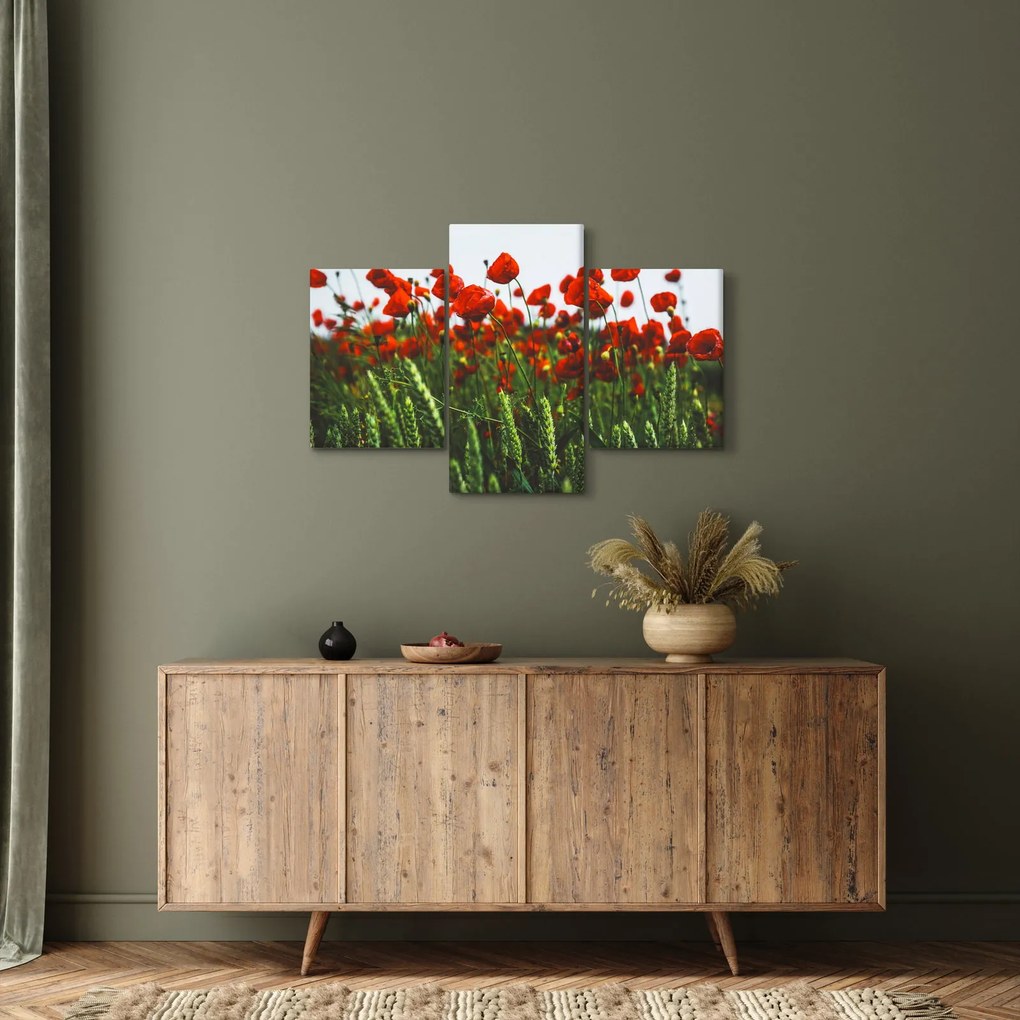 A pipacsok képe a szélben (90x60 cm)