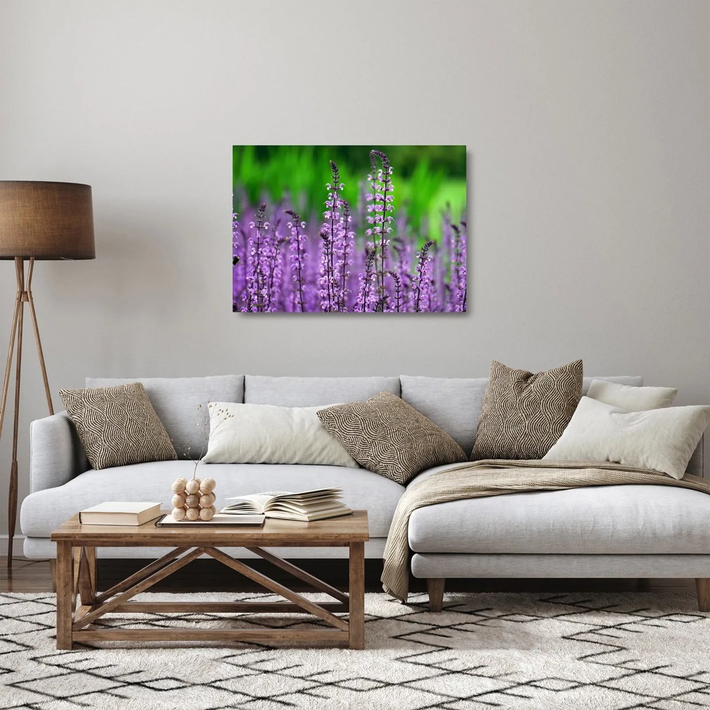 Lila mezei virágok képe (üvegen) (70x50 cm)