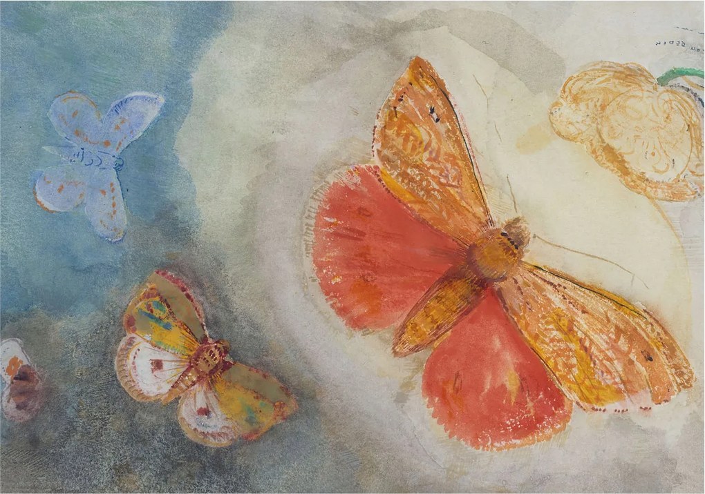 Fotótapéta Flizelin Tapéta Hálószobába és Nappaliba Színes pillangók 208x146