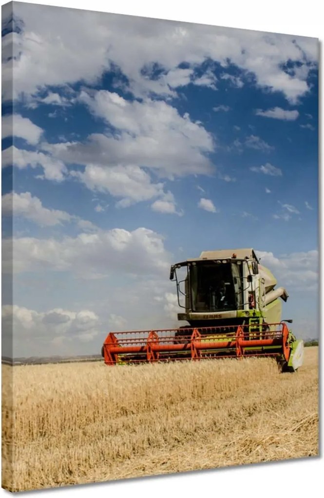 Vászonkép 30x40 Kombájn az aratás idején