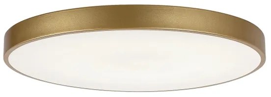 Rabalux 71038 -LED dimmelhető mennyezeti lámpa TESIA LED/60W/230V 3000-6000K+Távirányító