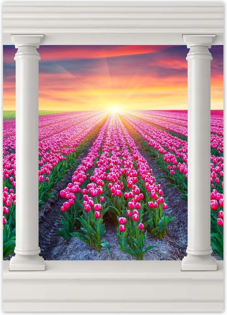 Poszterek 50x70 Tulipánok tengere Virágok