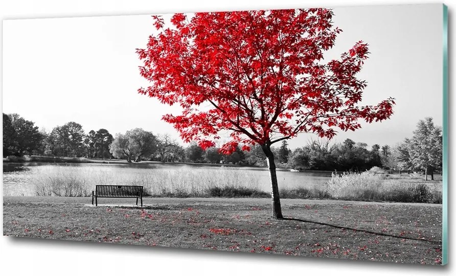 Fotó üvegkép Vízesés az erdőben 125x50