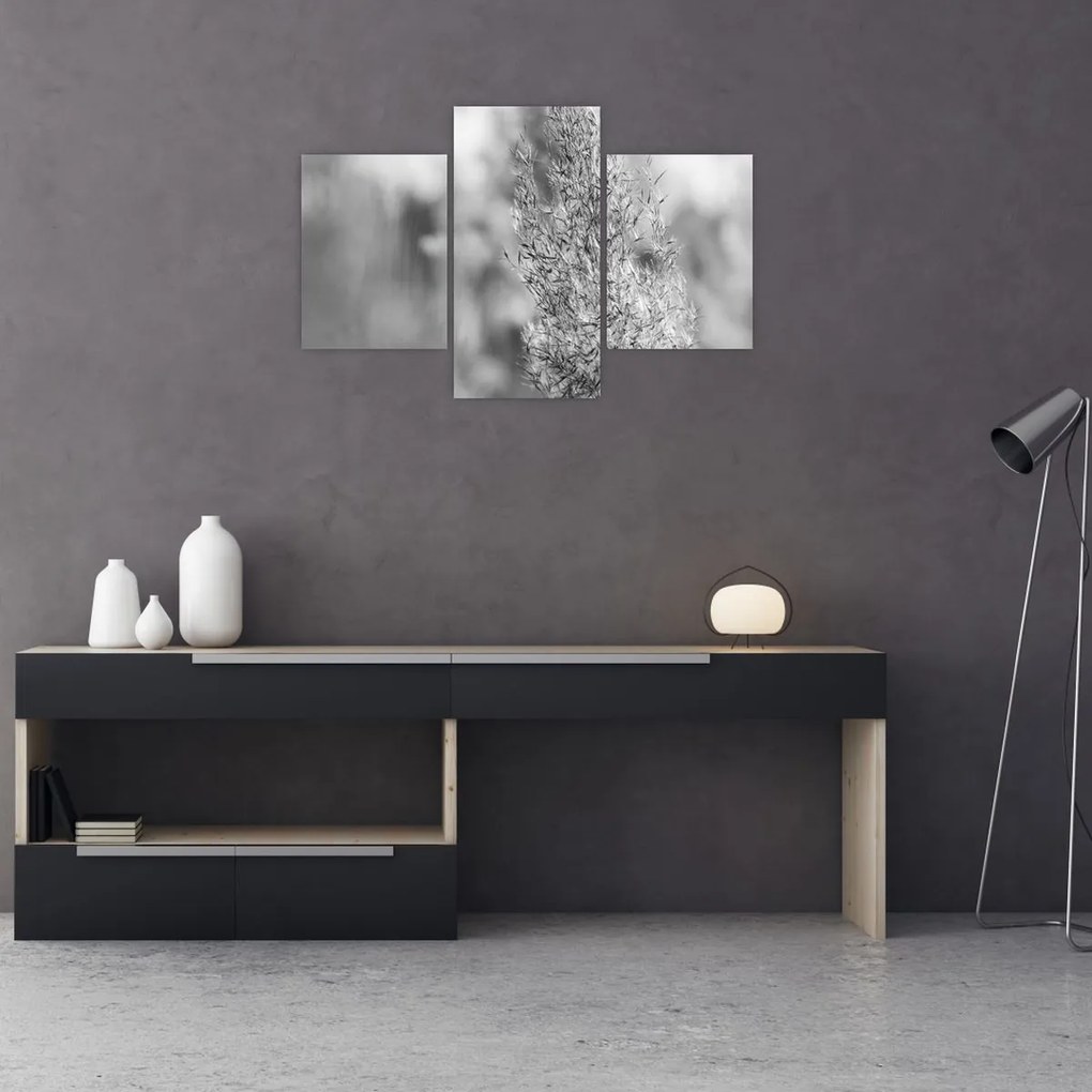 Kép - Boho pampafű (90x60 cm)