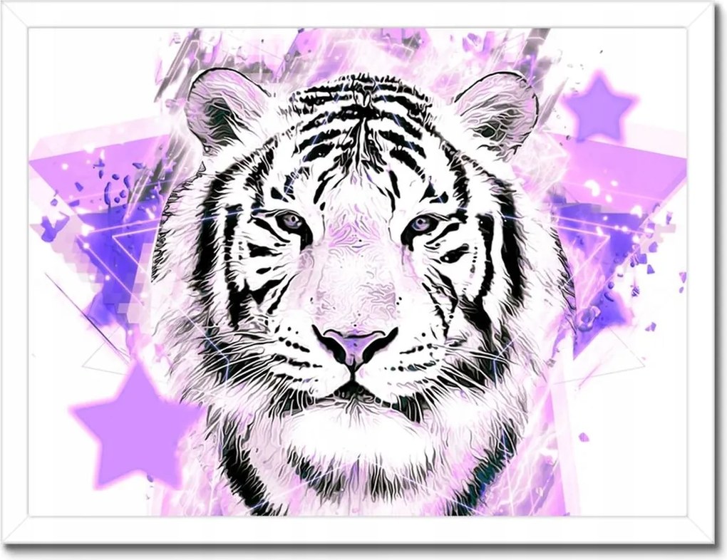 Poszter keretben 40x30 Tigris lila