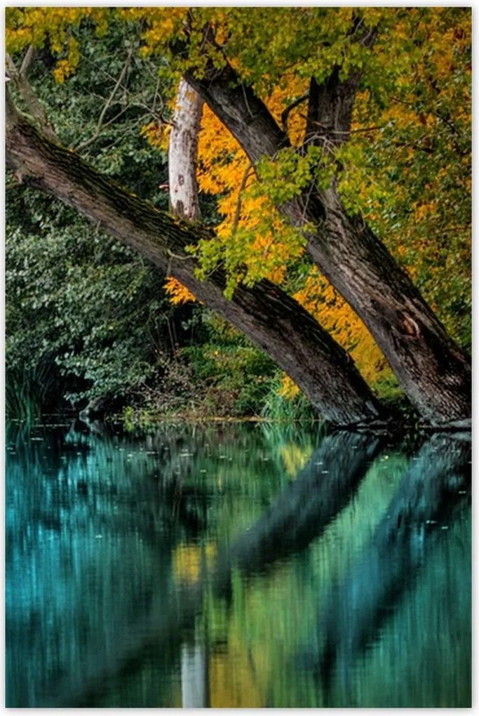 Poszterek 80x120 Őszi táj Folyó