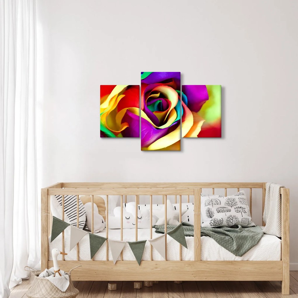 Kép - Színes rózsa (90x60 cm)