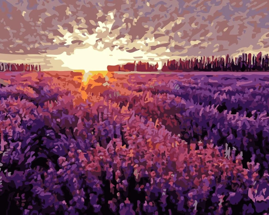 Festés számok szerint kép kerettel "Levendula mező" 40x50 cm