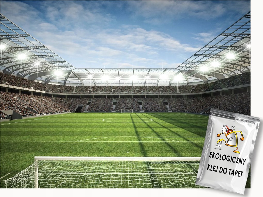 Fotótapéta Flizelina Sport Labdarúgás Stadion Mérkőzés 350x250 ragasztó