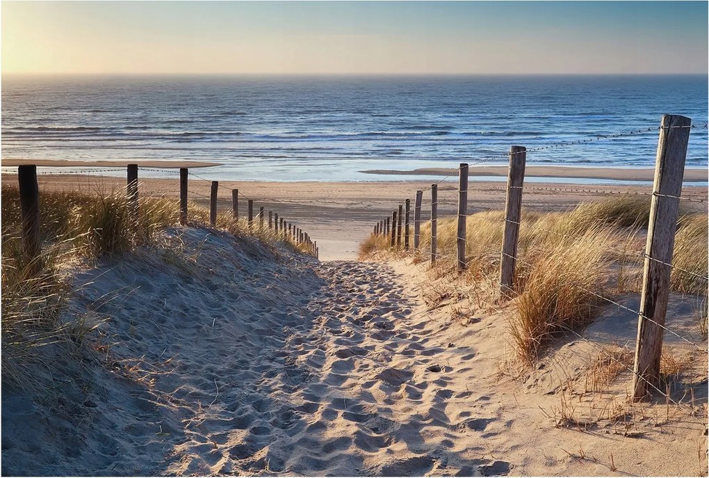 Flizelin tapéta Flizelin fali prémium tengerparti ösvény 104x70