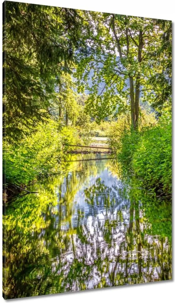 Vászonkép 80x120 Folyó Gyönyörű időjárás