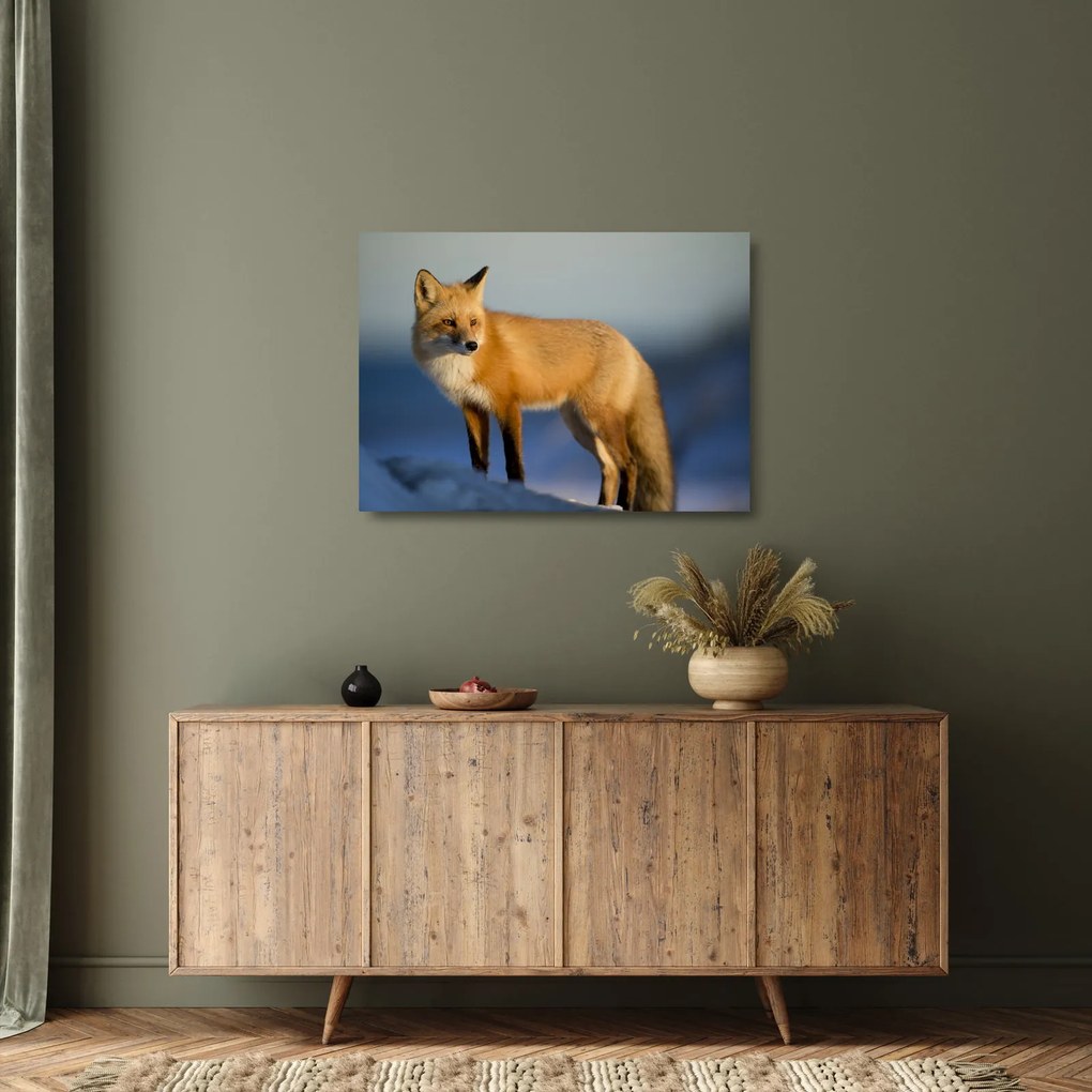 Kép - Róka a hóban (üvegen) (70x50 cm)