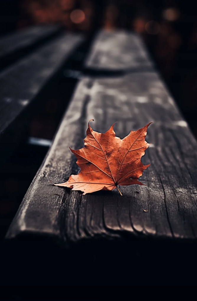 Poszter 53x81cm Egy levél