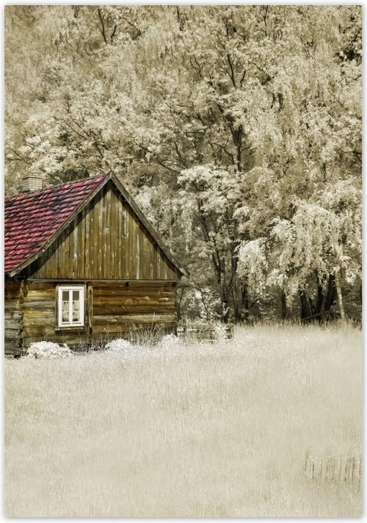 Poszterek 70x100 Rönkház Bale