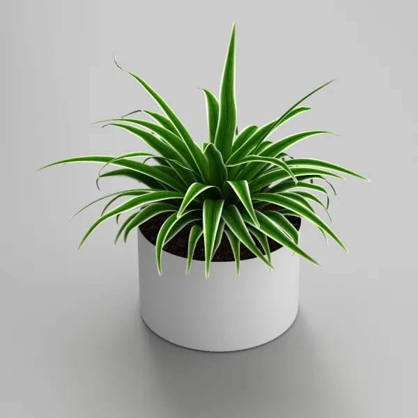 Virágcserép 11x17 cm fehér