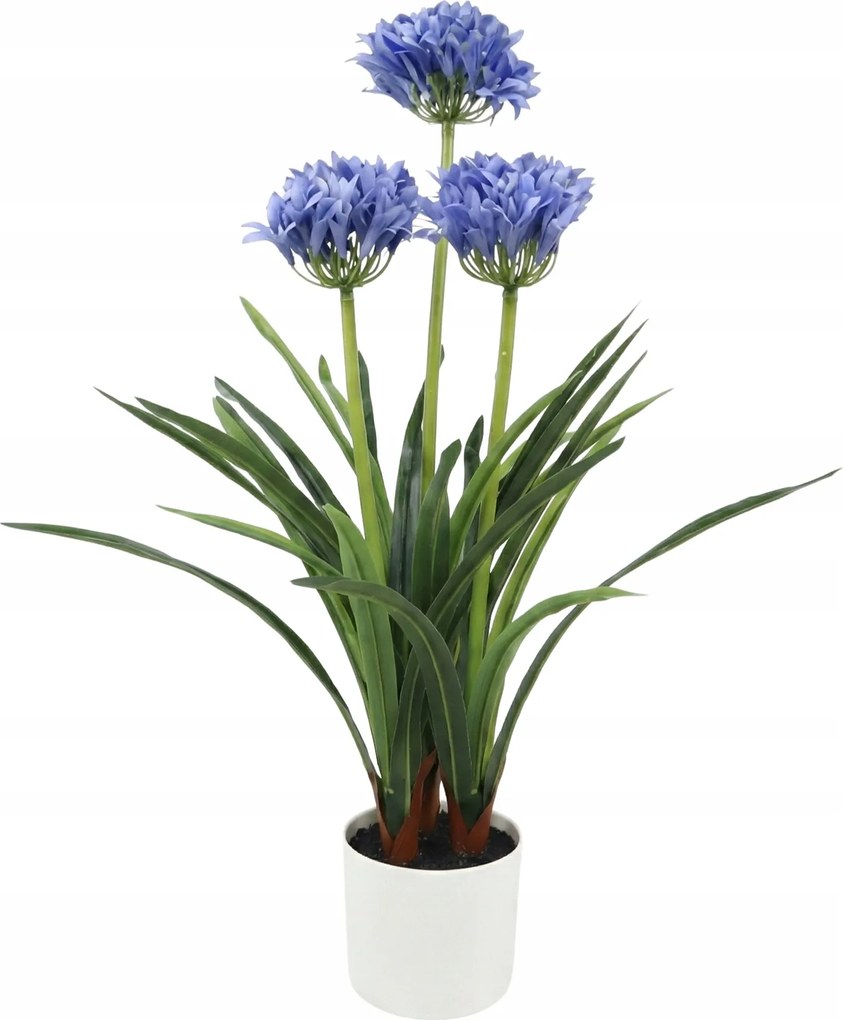 Agapant Virág Cserépben Kék Művirág 50 X 80 CM